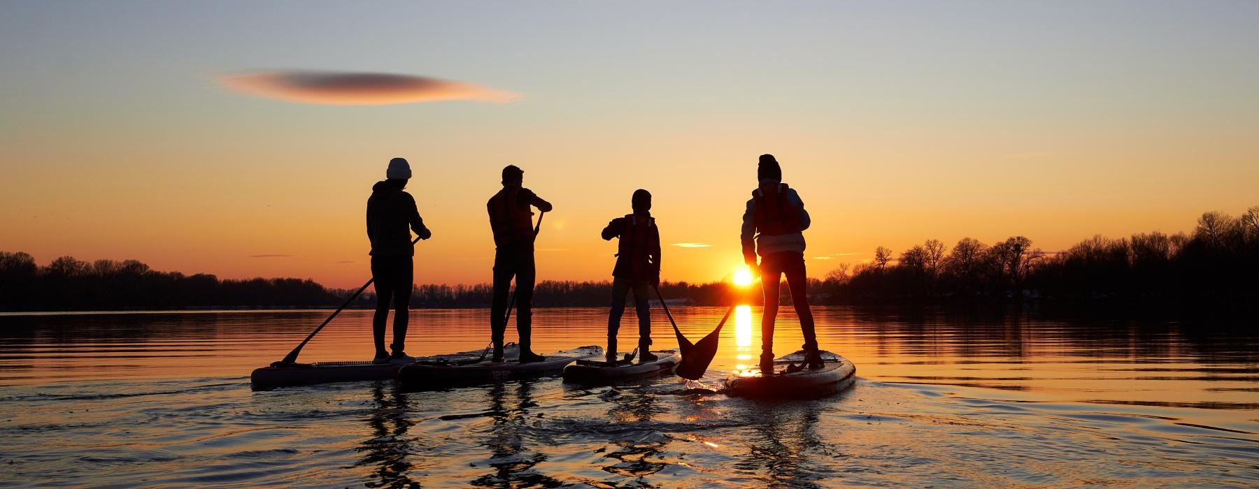 group of people paddle boarding on a lake at sunset